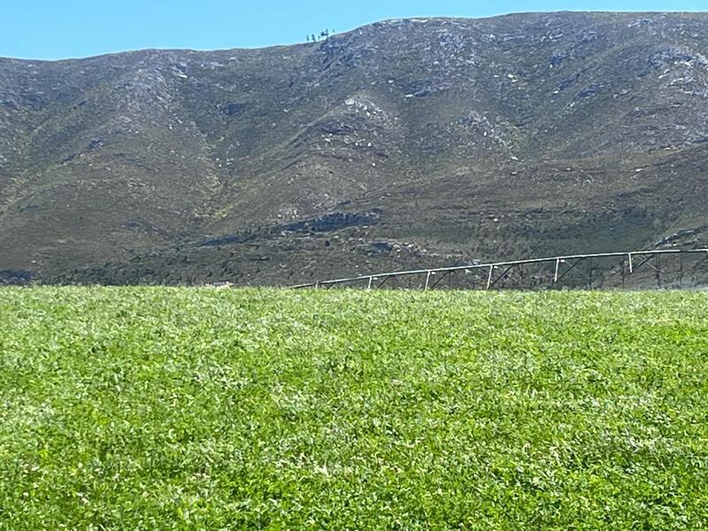 0 Bedroom Property for Sale in George Rural Western Cape
